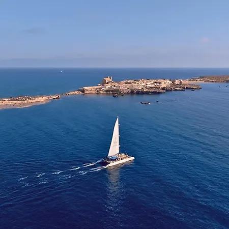 Gardela Mercado Alicante