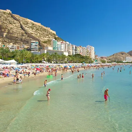 Gardela Mercado Alicante